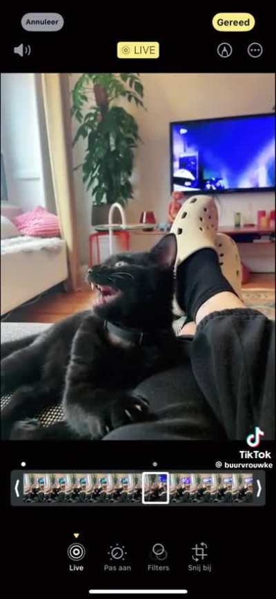 What genre of video is this