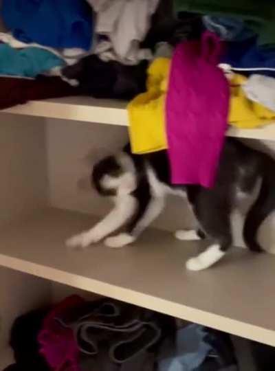 So You Think You Can Derp