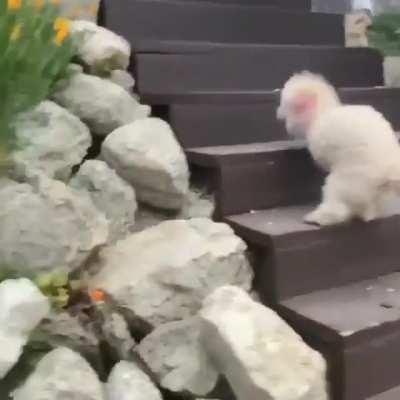 I love you more than anything