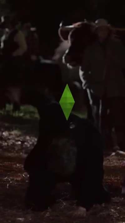 When the door is gone and my sim has been painting for 24 hours straight