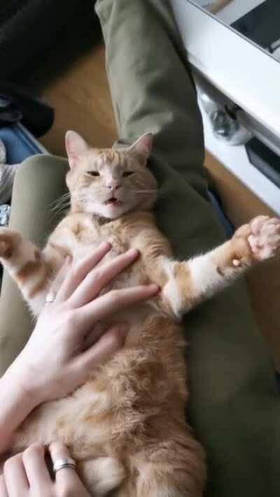 Sleepy fellow enjoys spa day while governing the mafia