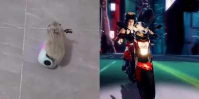 [⭐EXCLUSIVE⭐] 'We Fresh' Behind the Scenes!