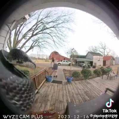 Fuck this man in particular said the snake 