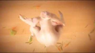 Number 15 (warning bad words)