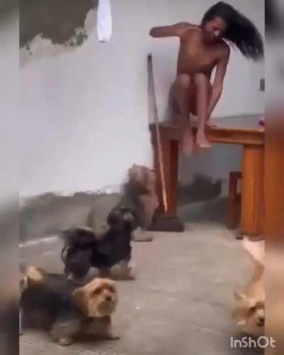 Trying to escape a fierce dog attack