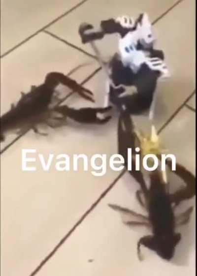 this is true, I was piloting.