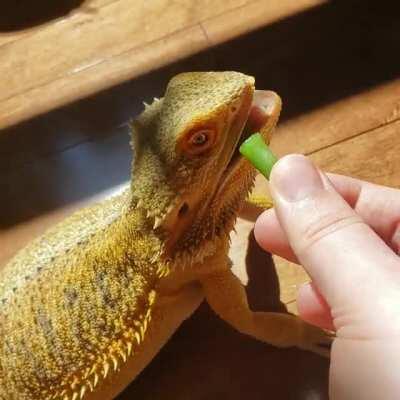 always season your pancake before consumption