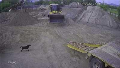 Man is crushed by his trailer ramp