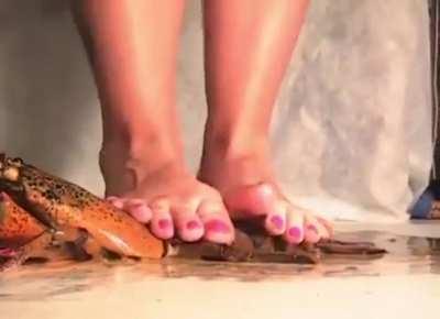 Tammy Barefoot 🦀🦀🦀