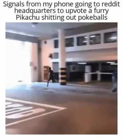 Can you picture that