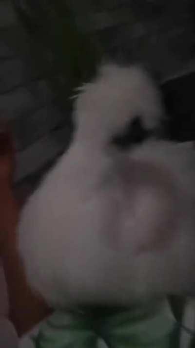 She has a lil seperation anxiety