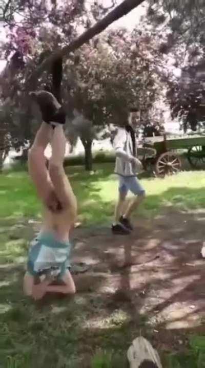 WCGW climbing down from a tree branch