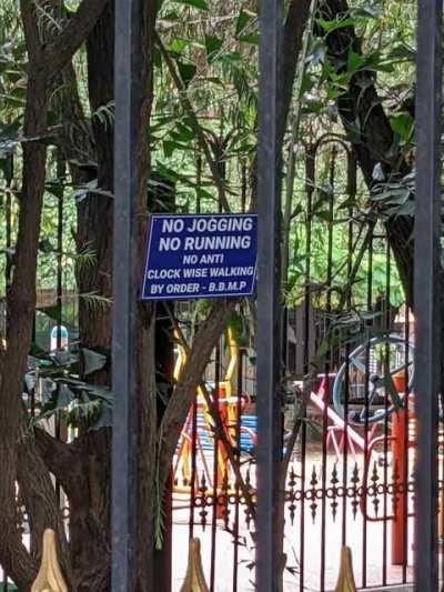 Found this in a local park