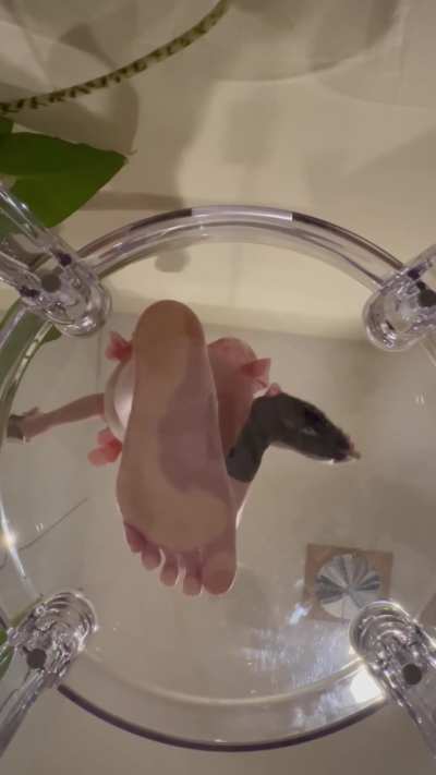 taking them off just for you