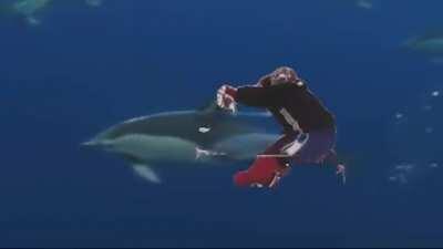 Crab Price (shooting stars)