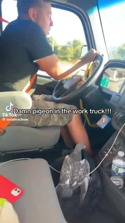 Grab it and THROW IT OUT