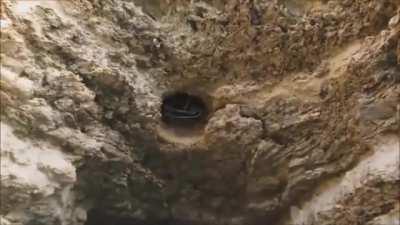 Водитель года