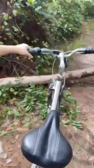 Anyone knows who's she ?