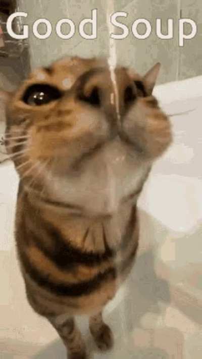 fffyffdf f ggdft5ytfgtrrrrrrrrrbv cry