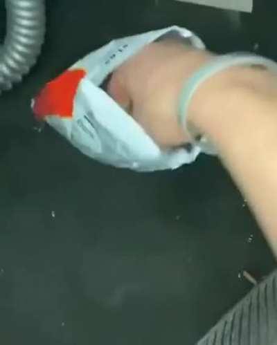 We fuckin sent her a little too fuckin hard bud