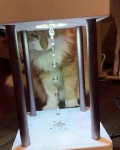 It's a strobe light slightly out of sync of falling drops.