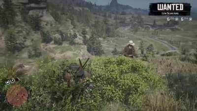 I am Arthur Morgan, Master of Camouflage.