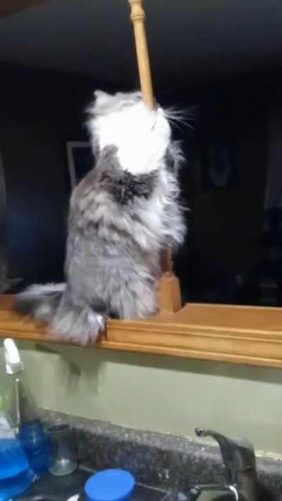 She's Just Trying To Pay Her Student Loans...