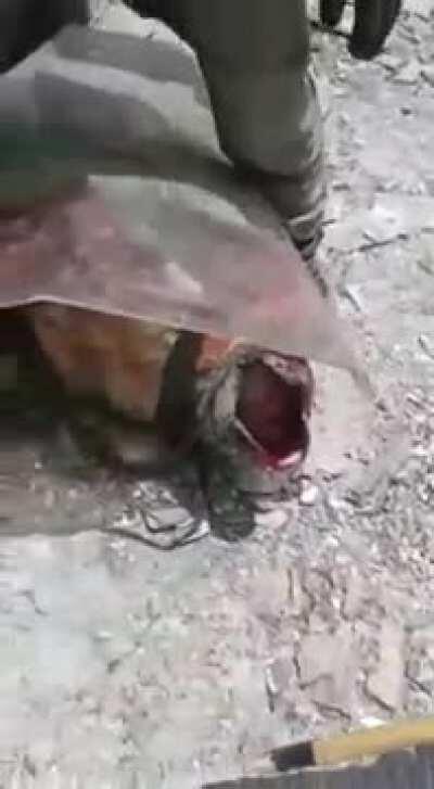 New video showing the clash between the Indian and Chinese Armies.