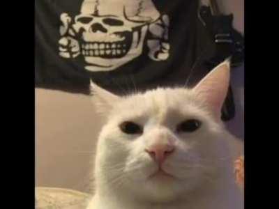 Literalmente ya nadie se traga estos trolleos