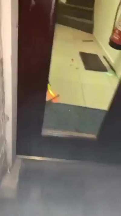 Another joyful video from none other than the Holylands (not my video)