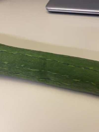 My coworker gave me this from her garden