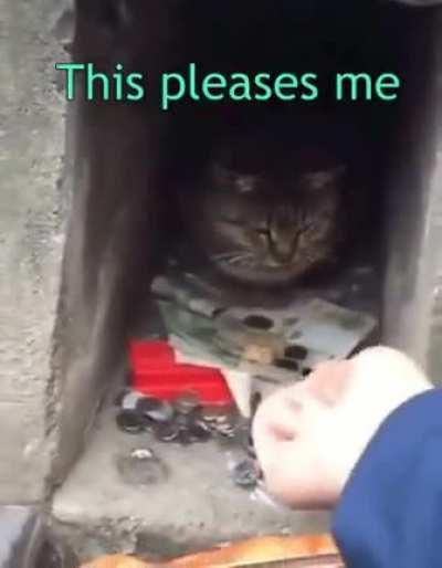 Khajiit has wares if you have coin