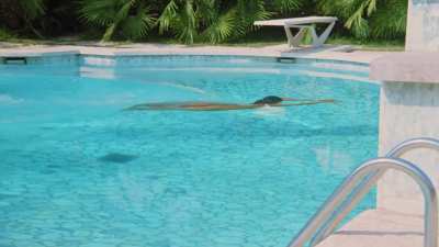 Monika Kälin - S.A.S. San Salvador (1983)