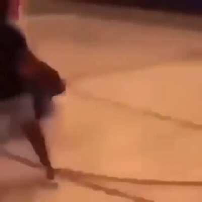 Quando o gorila n faz live eu fico assim