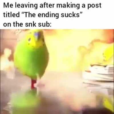 We shall engage in a gentle amount of tomfool'ry