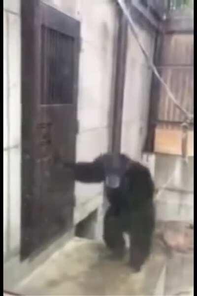 DBL players when there's no new story a week after the anniversary.