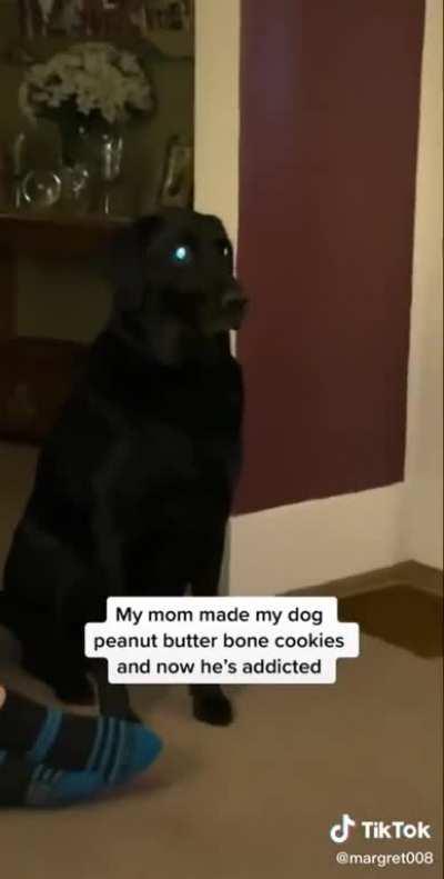 “WhErE iS mY fIx, MOTHER”