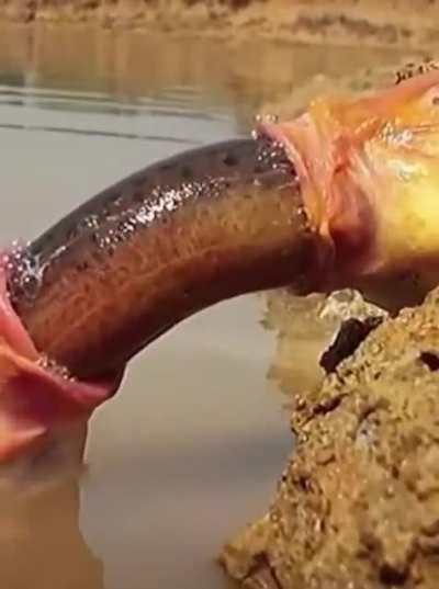 Whatever this is. You’re welcome