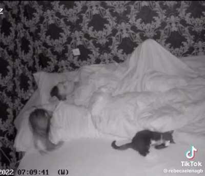 All in a night’s work