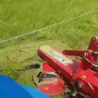 videos - Video #1272