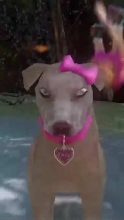 Accurate Representation of Pitters