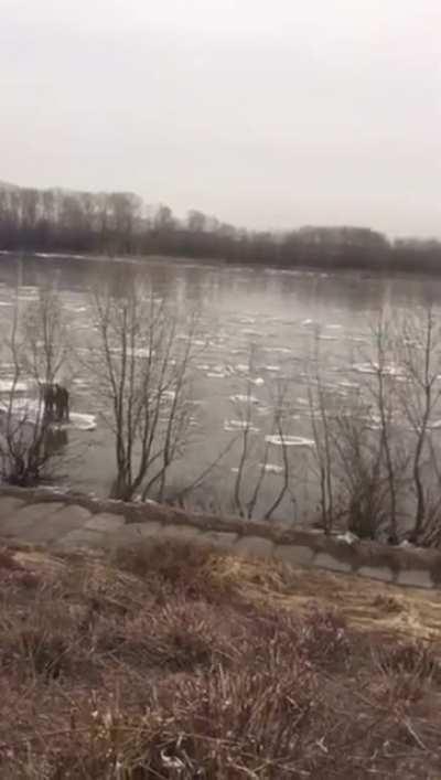 When the bus tickets get too expensive