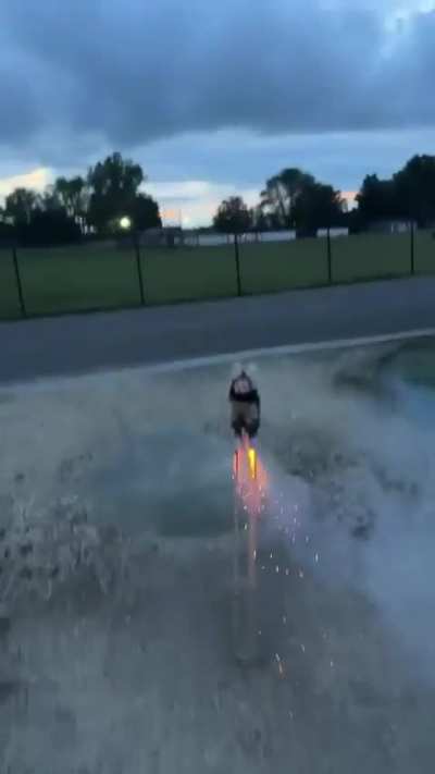 What kills me is the slight pause before it locks onto its target