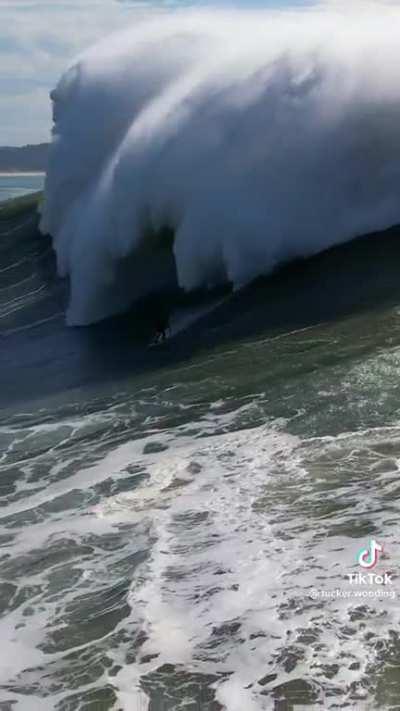 It’s gonna be a no from me, dawg