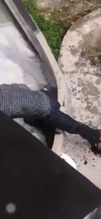 HMFT after i enter a croc enclosure.