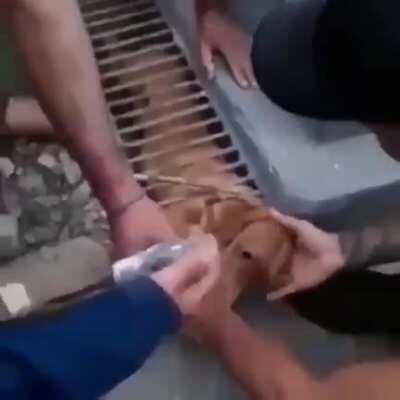 Men go too far when grilling wieners in their homemade street grill. (x-post r/aww)