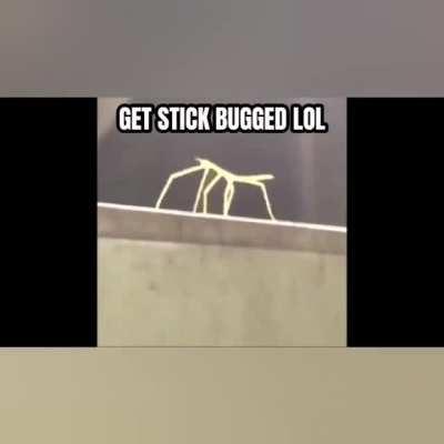 No sound on first video don't turn it up