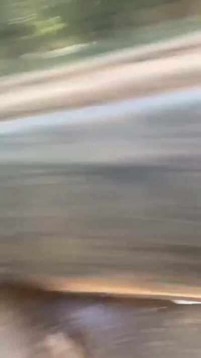 ERrrrururh Spaceship