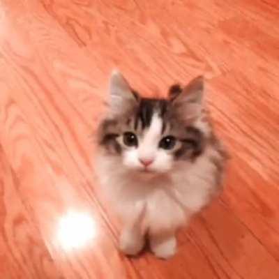 Say hi to the new criminal!