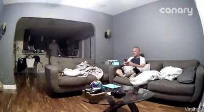 Dog “undershoots their jump” (Credit to ViralHog un YouTube)